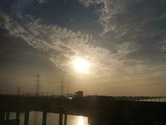 -南沙蒲洲花园