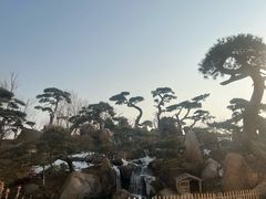 -罗红摄影艺术馆