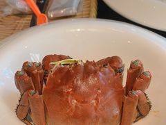 -蟹榭·本帮江浙菜·蟹宴(五角场合生汇商场店)