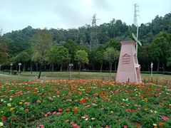 -顺峰山公园