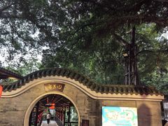 -侨美·唐荔园·40年地道粤菜