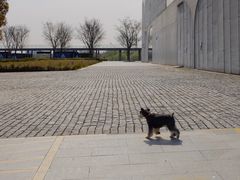 -龙美术馆西岸馆-停车场