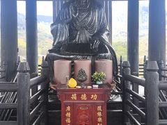 -大唐贡茶院