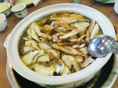 -杨记山珍鸡煲菌汤锅