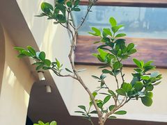 -元古本店(南锣鼓巷店)