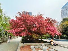 -西湖文化广场