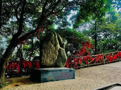 -广州市帽峰山景区