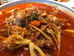 -拈菜(观音桥阳光世纪店)