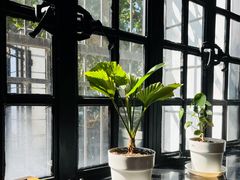 -一尺花园(安和花园店)