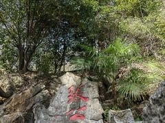 -宜兴张公洞