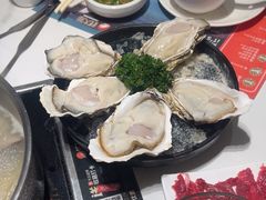 -蚝大仙横琴生蚝火锅(日月贝店)