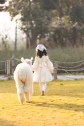 -DORA kids 朵拉儿童摄影花园店