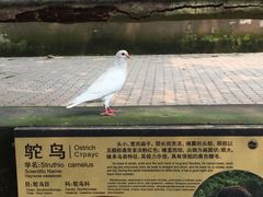 -燕塞湖鸟语林景区
