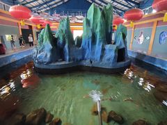 -北戴河圣蓝海洋公园