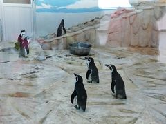 -新疆天山野生动物园