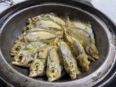 -霞海鸭仔饭店(海滨大道北店)