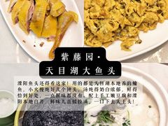 -紫藤园·天目湖大鱼头(南山竹海店)