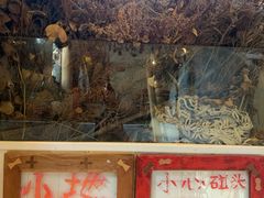 -野草莓自由市场