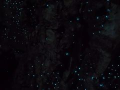 -怀托摩萤火虫洞