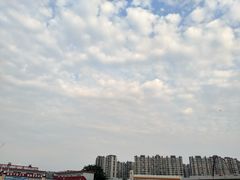 -金牛体育中心(金牛体育馆店)