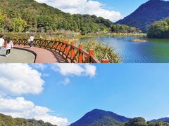 -广州市石门国家森林公园