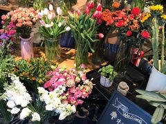 -植物学家的女儿(北马道巷店)