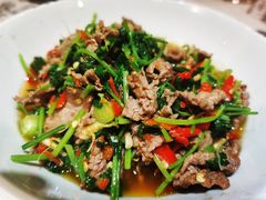 香菜炒牛肉-壹盏灯(蚂蚁工房店)