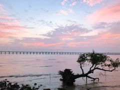 -宝安西湾红树林湿地公园