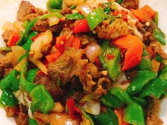 -新疆风味冷水鱼庄(友谊峰路店)