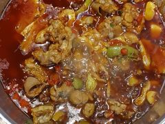 -不炭白烧烤(成都首店)