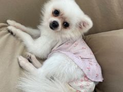 -怪兽屋·羊驼·猫咖·狗咖(俊华广场店)