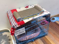 -猫的天空之城概念书店(杭州南宋御街店)