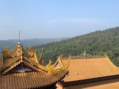 -东莞市大岭山森林公园
