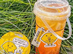-快乐柠檬happylemon(日月光店)