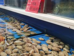 -普天和酒楼(天津之眼店)