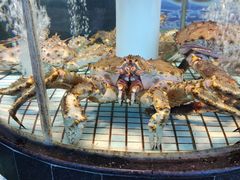 -大梅沙海鲜汇(岳麓店)