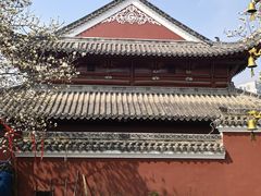-长春观