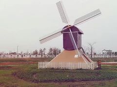 -金卉庄园