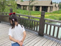-乌村
