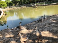 -上海海湾国家森林公园