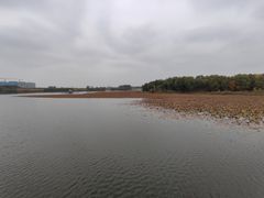 -大兴滨河森林公园