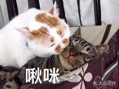 -川香煲(茅台路店)