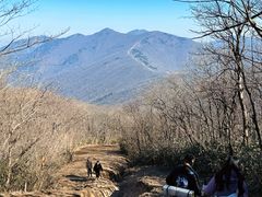 -安吉龙王山风景区