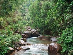 -广州白江湖森林公园