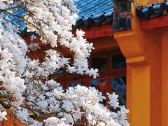 -杭州上天竺法喜讲寺