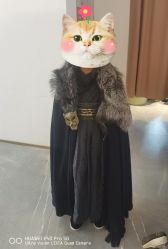 -盘子女人坊古装写真摄影(南京总店)