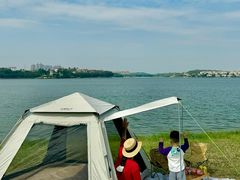 -仙湖旅游度假区