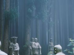 -武陵山森林公园