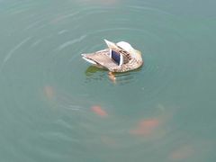 -前关湿地公园