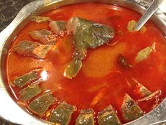 酸汤鱼-芦苇荡·酸汤鱼(回龙观店)